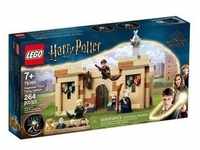 LEGO Harry Potter Hogwarts Erste Flugstunde ( 76395)