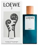 Loewe 7 Cobalt Edp Spray 100ml