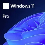 Microsoft Windows 11 Pro OEM Vollversion, 1 Lizenz Windows Italienisch Betriebssystem