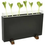 EDUPLAY 150-083 Wurzelhaus / Wurmhaus 30 x 19 x 4 cm, mehrfarbig