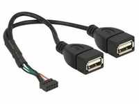 DeLOCK - USB-Kabel intern auf extern - 10-poliger USB-Header (W)