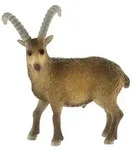 Bullyland - Steinbock