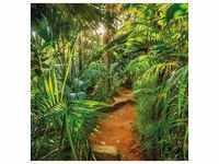Komar Fototapete Jungle Trail 368×254 cm