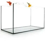 Aquarium Becken rechteckig standard Gr&ouml;&szlig;en Glas Aquariumbecken Garnelenaquarium