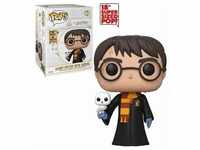 POP -Harry Potter - Harry Potter with Hedwig 48 cm Neu & OVP
