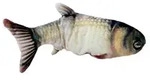 SELVA Katzenspielzeug Magic Fish