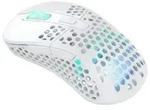 CHERRY - Xtrfy M4 RGB - Maus - optisch - kabellos - 2.4 GHz - kabelloser...