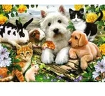 Tierfreunde, 300 St&uuml;ck.