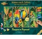 Schipper 609260853 - Malen nach Zahlen, Papageien im Regenwald, Triptychon, 50 x 80
