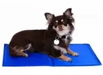 lionto K&uuml;hlmatte, angenehme Abk&uuml;hlung f&uuml;r Hunde & Katzen, selbstk&uuml;hlend & sicher,