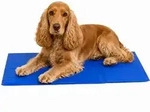 lionto K&uuml;hlmatte, angenehme Abk&uuml;hlung f&uuml;r Hunde & Katzen, selbstk&uuml;hlend & sicher,