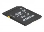 Delock Flash-Speicherkarte - 256 GB - Video Class V30 / UHS-I U3 - SD