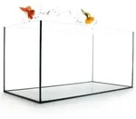 Aquarium Becken rechteckig standard Gr&ouml;&szlig;en Glas Aquariumbecken Garnelenaquarium