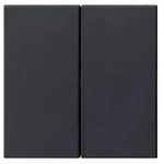 Gira Bedienaufsatz 2fach 5362005