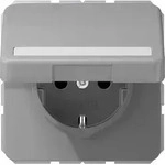Jung SCHUKO-Steckdose 16A 250V CD 1520 BFNAKL GR