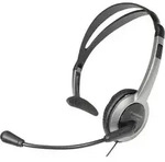 Panasonic RP-TCA 430 On Ear Headset kabelgebunden Mono Silber, Schwarz