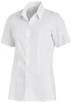 Bluse Teilungsn&auml;hte wei&szlig;, Gr. 40