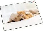 L&auml;ufer Schreibunterlage Hund und Katze, 400 x 530 mm