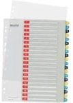 Register Cosy A4 1-20 bedruckbar PP 20 Blatt farbig