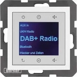 Berker Radio DAB+, Bt., S.1/B.x p 30848989