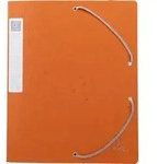 Exacompta 10x Archivbox R&uuml;cken 40mm Karton +3 Klappen Gummizug A4 Orange 14017H