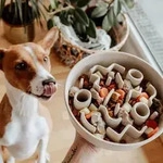 DISTRICT70 Anti-Schling-Napf f&uuml;r Hunde Bambus 21 cm Merengue
