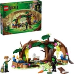 LEGO 75687, LEGO Wicked 75687 Elphabas Versteck