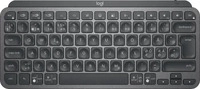 Logitech 920-010492, Logitech MX Keys Mini Minimalist Illuminated Keyboard, graphit,