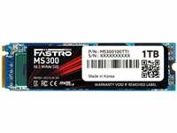 Mega MS300100TTI, 1TB Mega Fastro MS300 M.2 2280 PCIe 4.0 x4 3D-NAND TLC