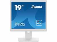 iiyama B1980D-W5, 19 " (48,26cm) iiyama ProLite B1980D-W5 weiss 1280x1024 DVI / VGA,