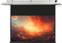celexon 1090197, celexon Deckeneinbau Leinwand Motor Expert - 300 x 169 cm -...