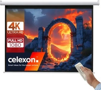 celexon 1090900, celexon basic line Motorleinwand 240 x 180cm,Leinwand Format...