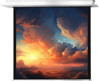 celexon 1000000879, celexon Deckeneinbauleinwand Professional Plus: 108" 16:9...
