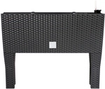 DeubaXXL DE Deuba&reg; Hochbeet Polyrattanoptik Anthrazit 60x25x46cm...