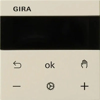 GIRA 539301, Gira RTR Display cws 539301