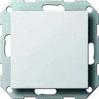 GIRA 026803, Gira Blindabdeckung rws-gl mit Tragring 026803