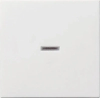 GIRA 29027, Gira Wippe rws mit Kontroll-Fenster 029027