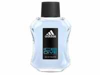 Adidas Ice Dive 100 ml Eau de Toilette für Manner 28