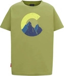 Trollkids 629-346-098, Trollkids - Kid's Halsafjord T-Shirt - T-Shirt Gr 98 oliv