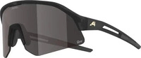 Alpina A8777021, Alpina - Sonic HR M Q-Lite S2 - Fahrradbrille grau