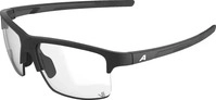 Alpina A8769131, Alpina - Eagle V Photochromic S1-3 - Sonnenbrille grau