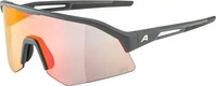 Alpina A8732521, Alpina Sonic HR QV midnight-grey matt quattro/variofl.mirror+...