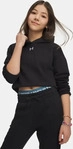 Under Armour 1379517-001-YXL, Under Armour Rival Fleece Hoodie black white (001) XL