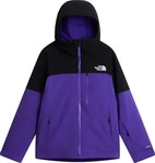 The North Face NF0A8H2DS96-L, The North Face Mens Freedom Insulated Jacket peak