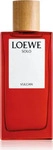 Loewe Solo Vulcan Eau de Parfum f&uuml;r Herren 100 ml, Grundpreis: &euro; 1.590,- / l