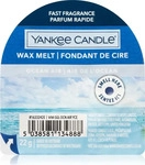 Yankee Candle Ocean Air wachs f&uuml;r aromalampen 22 g, Grundpreis: &euro; 114,- /...