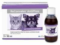ReConvales AntiPhos flüssig für Hunde und Katzen