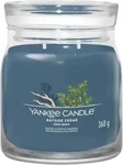 Yankee Candle Bayside Cedar Duftkerze 368 g, Grundpreis: &euro; 69,- / l