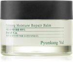 Pyunkang Yul Calming Moisture Repair Balm regenerierendes und feuchtigkeitsspendendes