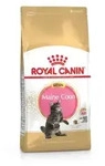 Royal Canin Feline Maine Coon Kitten 4kg